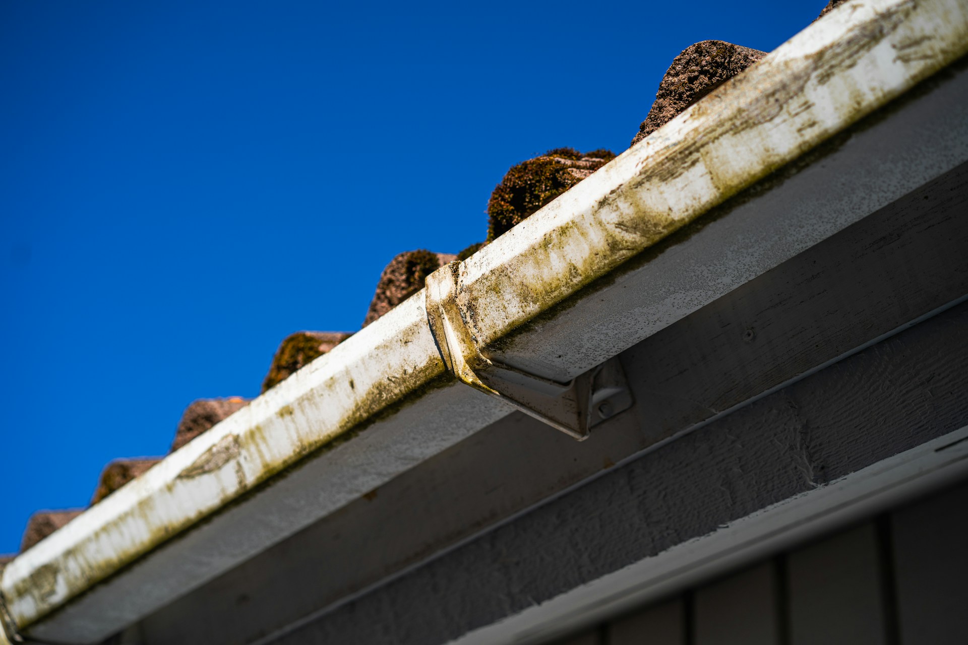 gutter